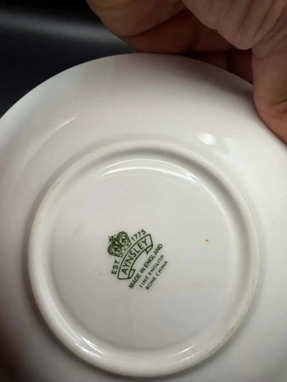 Aynsley Cottage Garden Fine English Bone China Teacup and Saucer